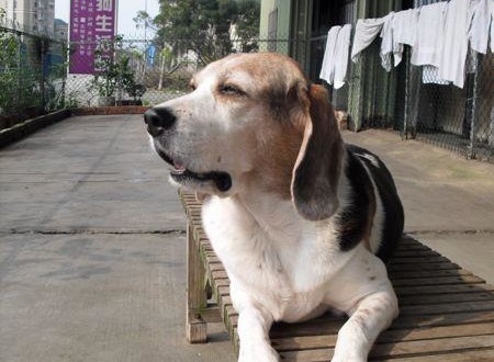 548641_3984369845987_889975491_n