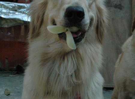 68227_3906954390649_396349694_n