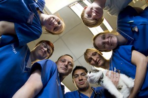 10740330904_3f00909818