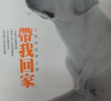 10277779_10201749747723758_2662014276040667747_n