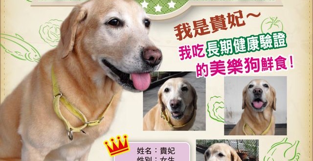 1380943649-2377055028