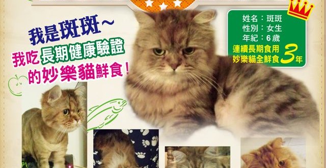 1380943651-3178200151