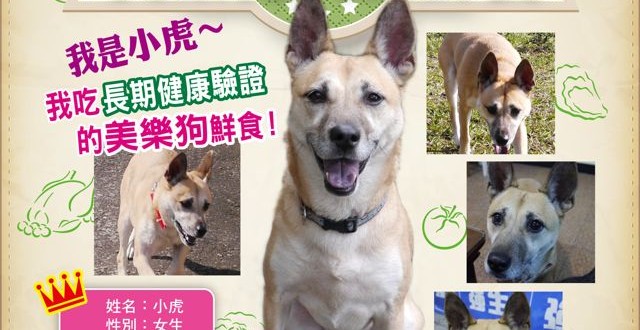 1380943652-3797442118