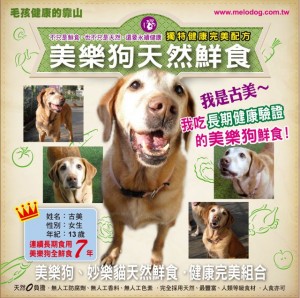 1380943653-2806007494