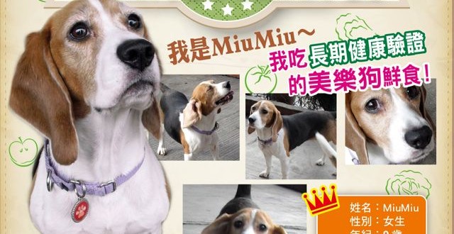 1380943653-3952273576