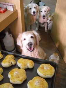 1380943689-3521865957