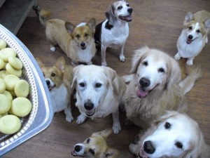 1380943691-253428987