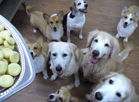 1380943691-253428987