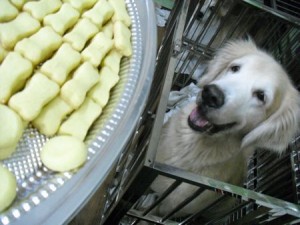 1380943691-3780888749