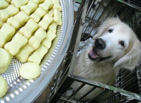 1380943691-3780888749