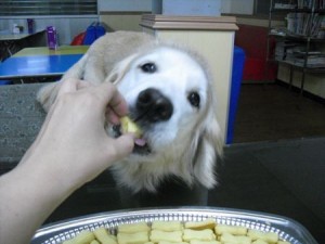 1380943691-880086873