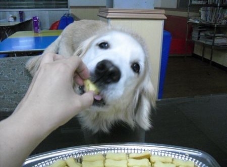 1380943691-880086873