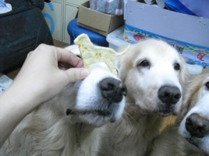 1380943692-1182110637