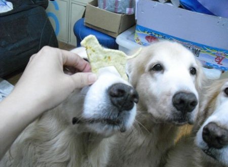 1380943692-1182110637