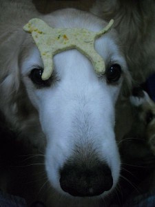 1380943692-739399361