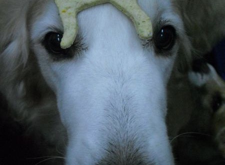 1380943692-739399361