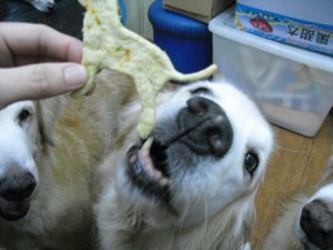 1380943692-899761242