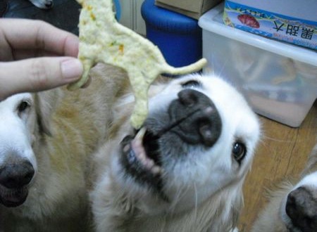 1380943692-899761242