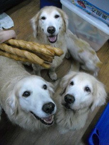 1380943693-1602832517