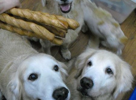 1380943693-1602832517