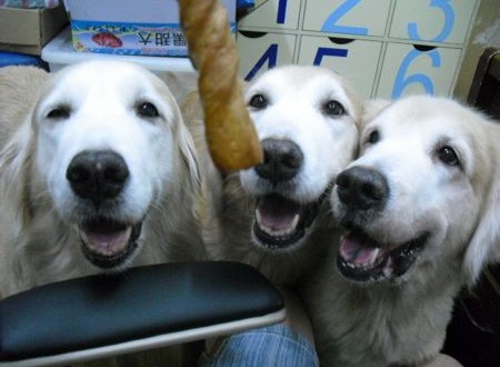 1380943693-3318001899