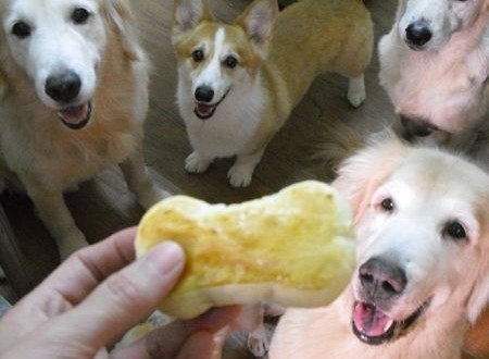 1380943693-817255716