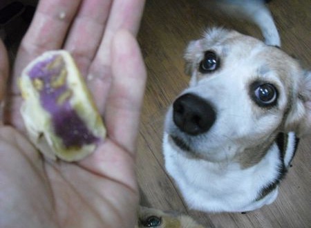 1380943694-1462136060