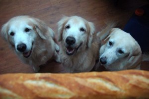 1380943695-2417598872