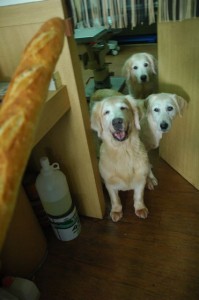 1380943695-882345731