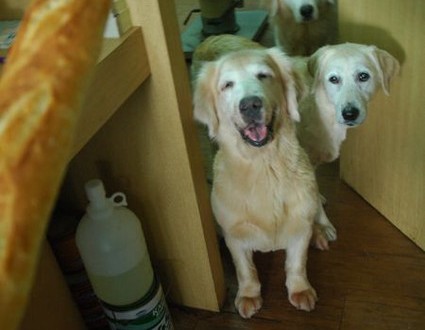 1380943695-882345731