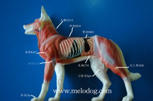 1380943901-102278202