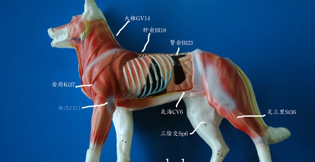 1380943901-102278202