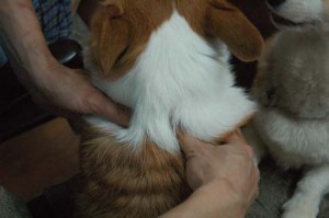 1380943901-4119134608