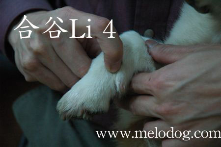 1380943902-1978260546