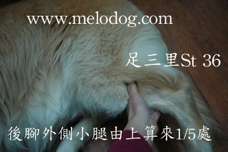 1380943902-4087254322