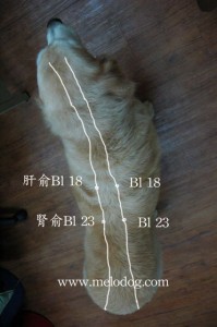 1380943902-656609142