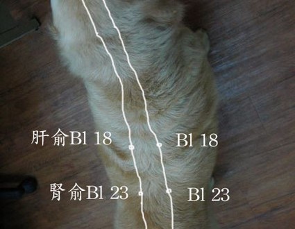 1380943902-656609142