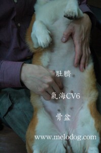 1380943903-2101948743