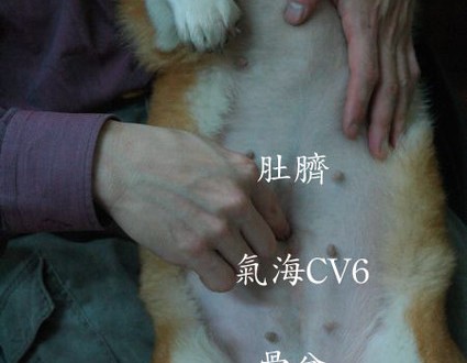 1380943903-2101948743