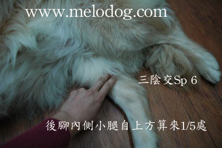 1380943903-233266026