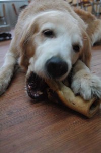 1380944285-2613989126