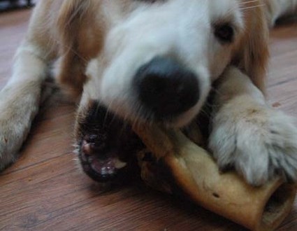 1380944285-2613989126