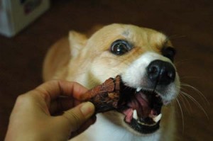 1380944286-3301230297