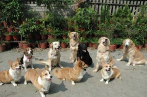 1380944328-2160967462