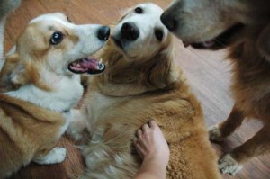 1380944460-2012984855