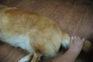 1380944461-1196916089