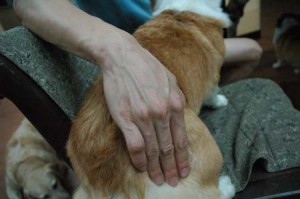 1380944462-1312109881