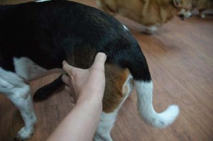 1380944462-2577953626