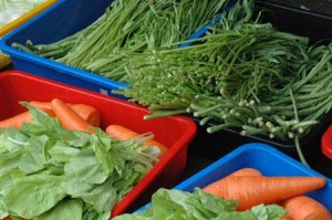 1380944467-164761469