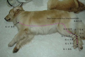 1380944498-4074525846